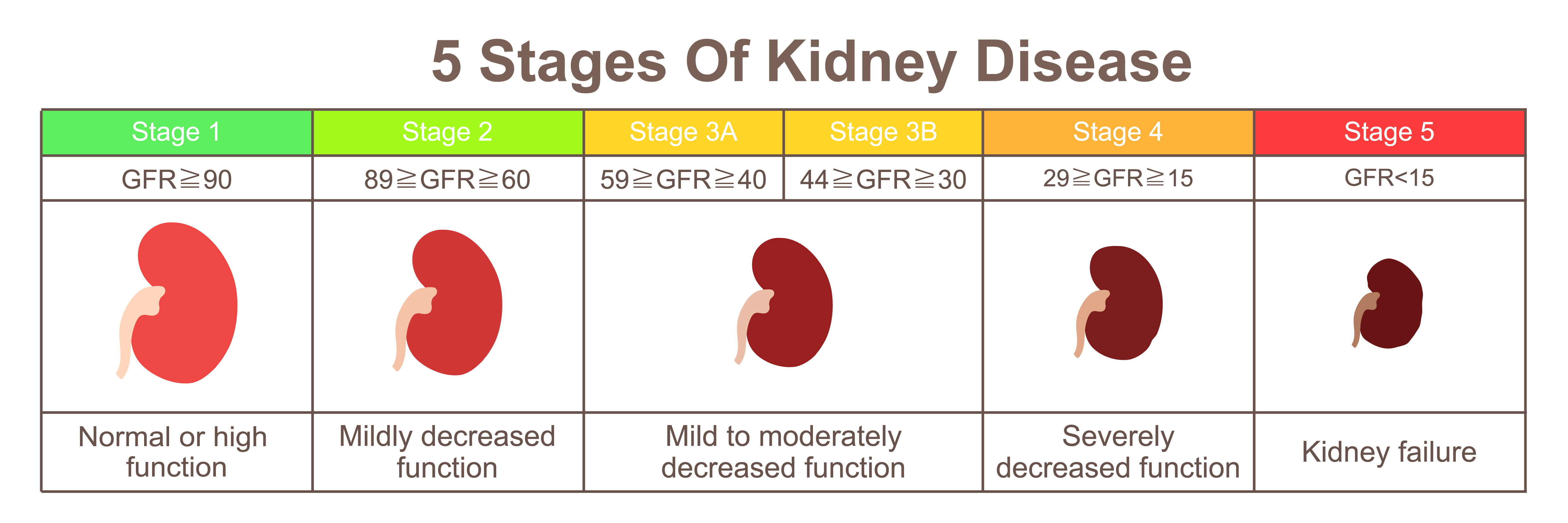 Kidney Disease Number Chart